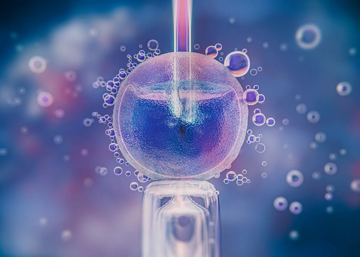 Embryo Freezing (Cryopreservation)